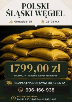 GROSZEK WORKOWANY Z DOSTAWĄ GRATIS - 1799 ZŁ/T