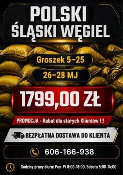 GROSZEK WORKOWANY Z DOSTAWĄ GRATIS - 1799 ZŁ/T
