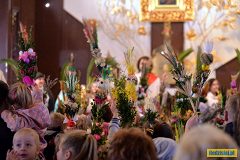 Niedziela palmowa 2019