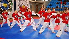 17 medali radzyńskich taekwondoków